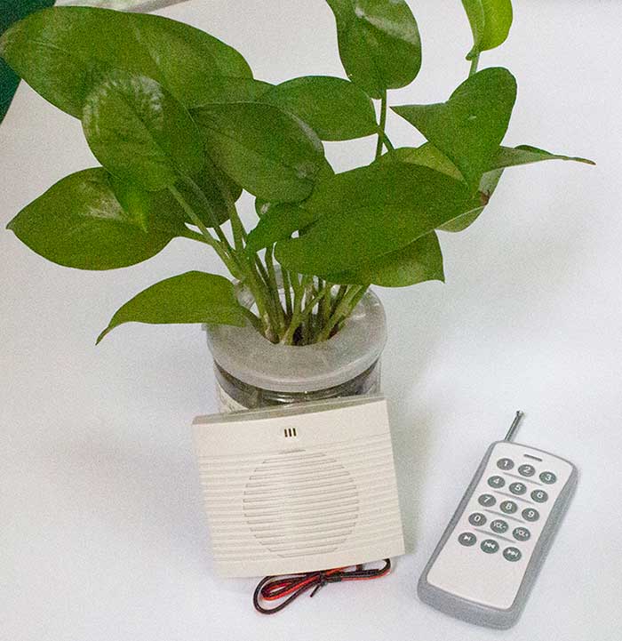 无线？？？？？？？丶苹